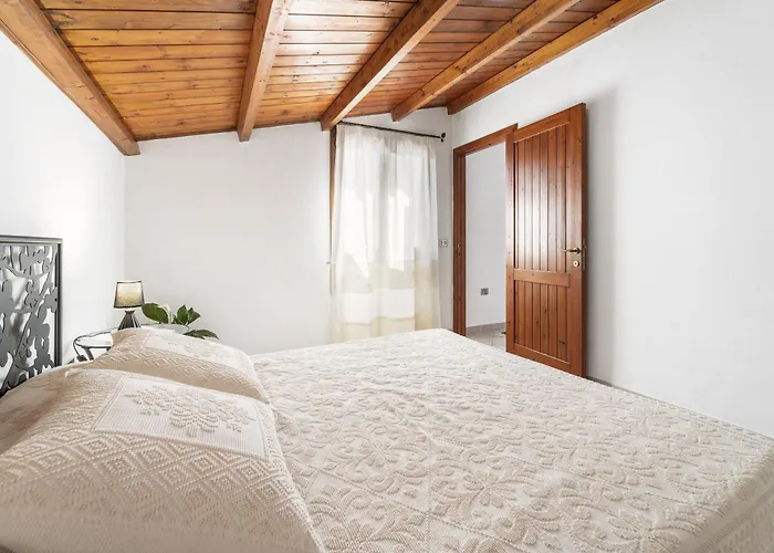 Su Niu De * 아르버스