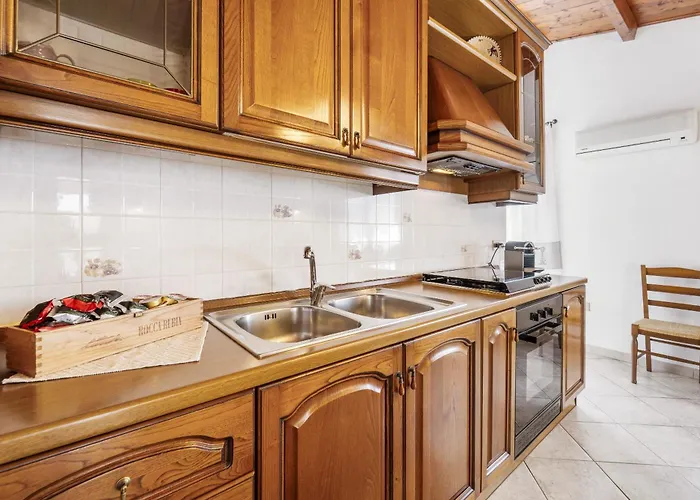 Su Niu De 아르버스